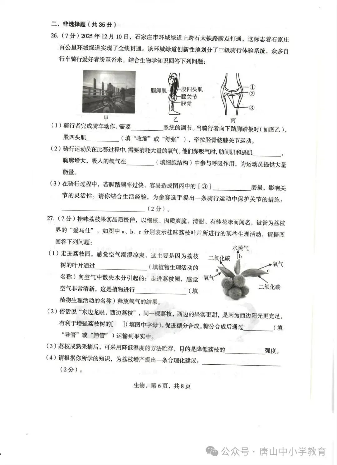 2026.4石家庄市正定中考一模全科试卷含答案(可下载) 第57张