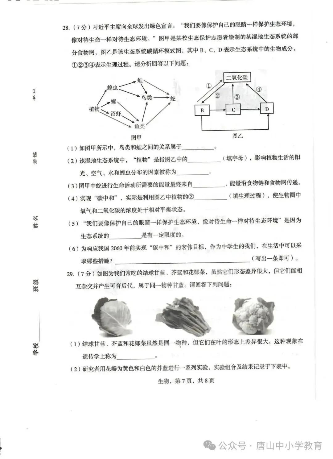 2026.4石家庄市正定中考一模全科试卷含答案(可下载) 第58张