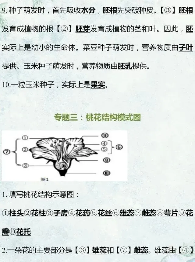 中考生物专题复习:识图作答专项练习,打印吃透,考试1分不丢! 第5张