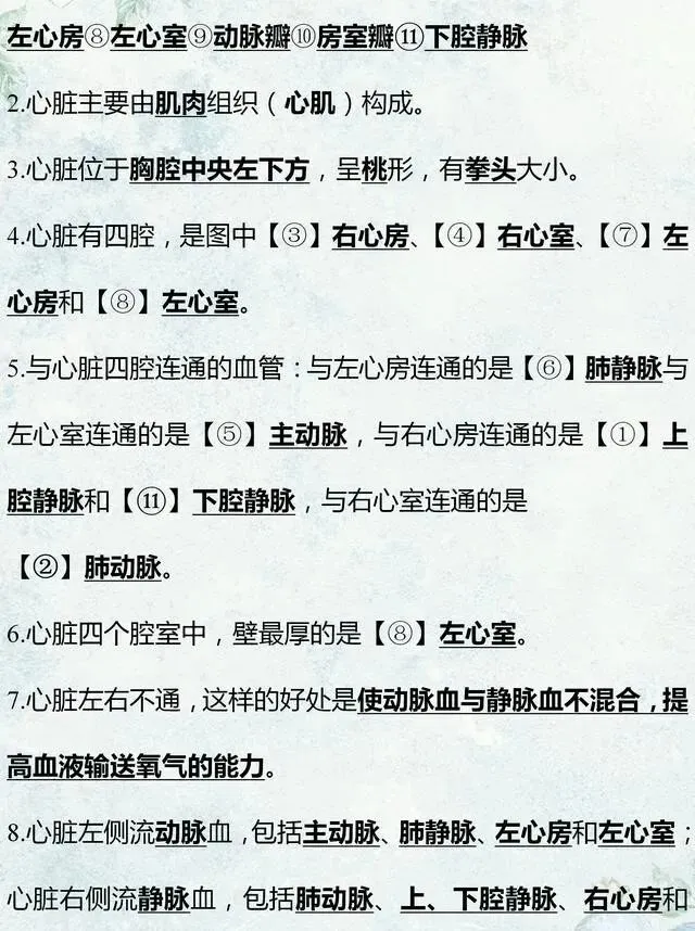 中考生物专题复习:识图作答专项练习,打印吃透,考试1分不丢! 第11张