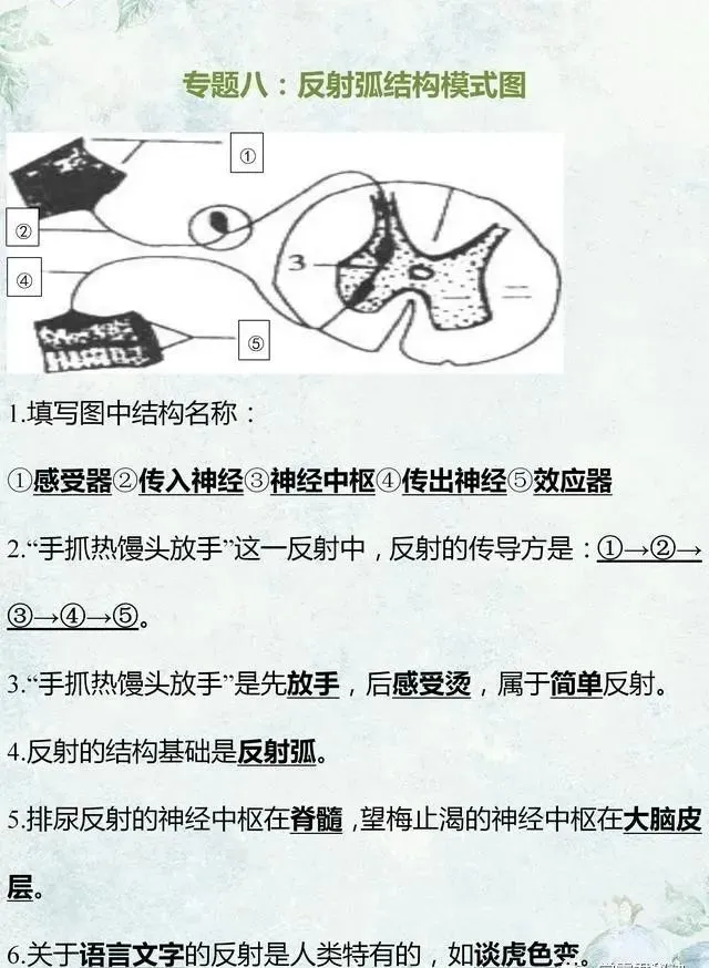 中考生物专题复习:识图作答专项练习,打印吃透,考试1分不丢! 第15张
