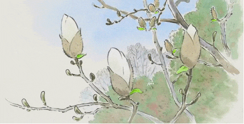 中考英语文化题怎么考?清明节10词+3模板,稳拿高频考点 第1张