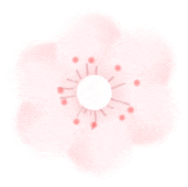 2026年春新《一年级下册语文期中真题测试卷》有答案,电子版可打印 第8张