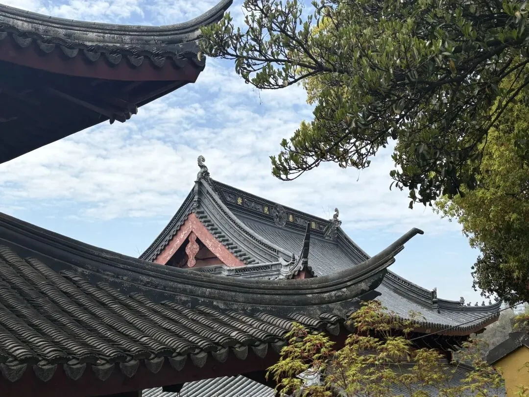 面试真题命题趋势复盘(2025.11-2026.3)-第2张图片-四季读书网