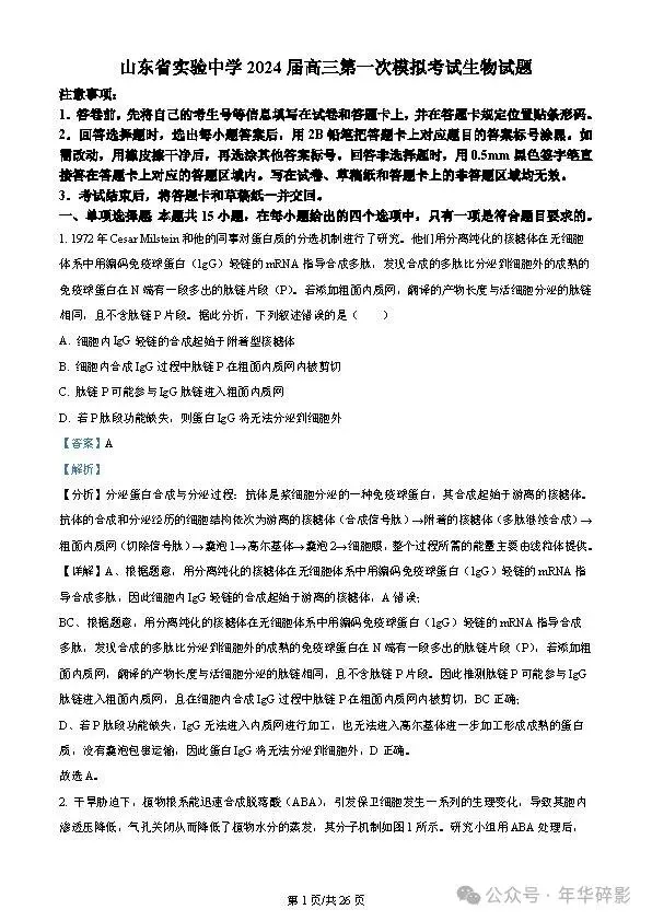 山东省实验中学2024届高三第一次模拟考试生物试题及参考答案(无水印版)-第2张图片-四季读书网 山东省实验中学2024届高三第一次模拟考试生物试题及参考答案(无水印版)-第2张图片-四季读书网