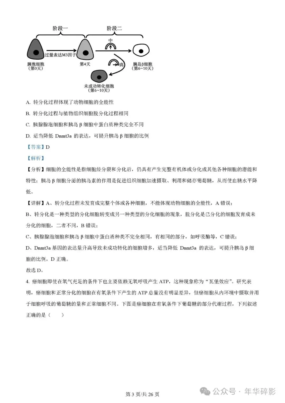 山东省实验中学2024届高三第一次模拟考试生物试题及参考答案(无水印版)-第4张图片-四季读书网 山东省实验中学2024届高三第一次模拟考试生物试题及参考答案(无水印版)-第4张图片-四季读书网