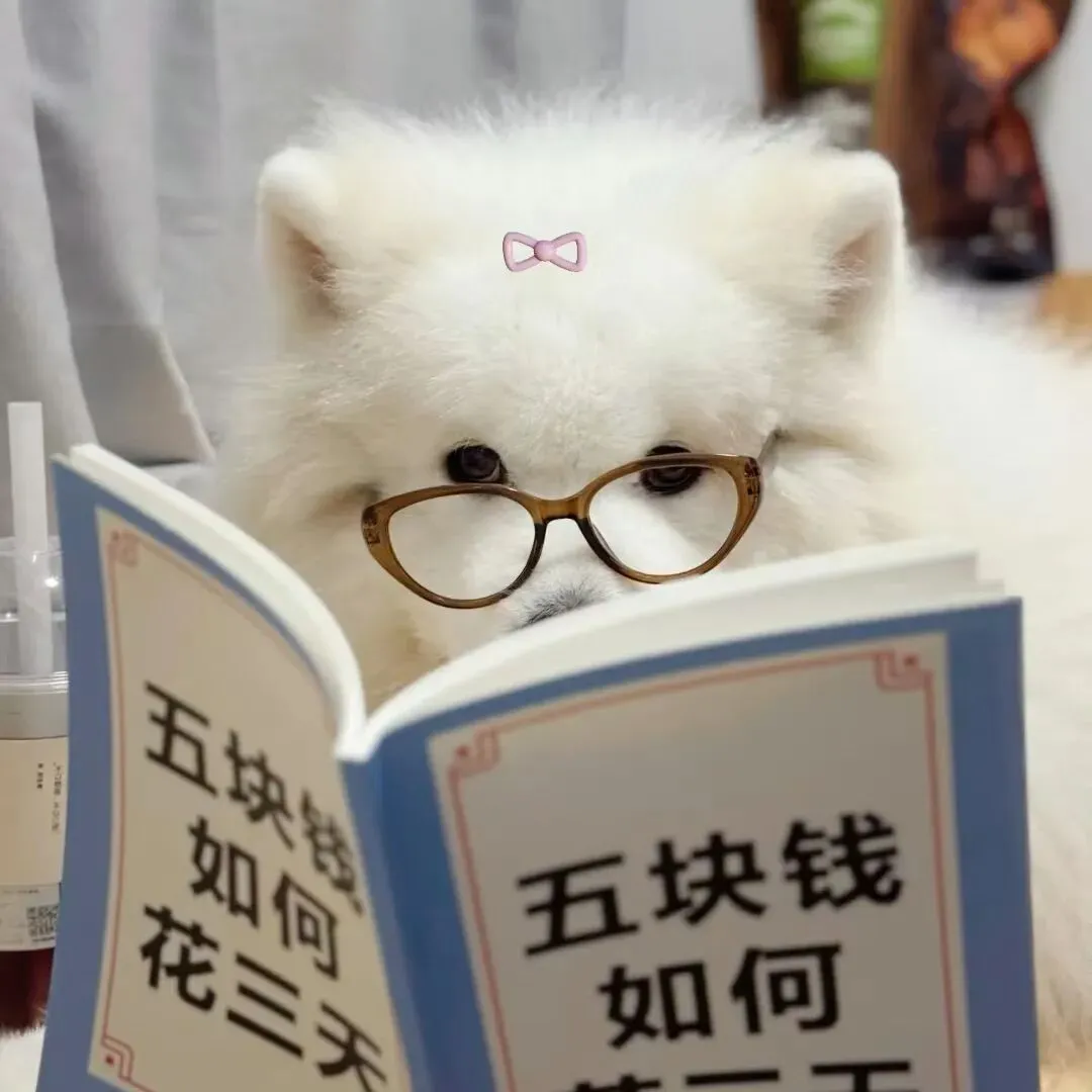 备战CATTI一级口译,模拟考试很重要-第2张图片-四季读书网