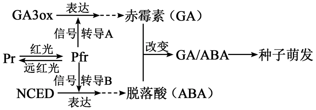 2026届山东济宁市高三第一次模拟考试生物试题-第4张图片-四季读书网