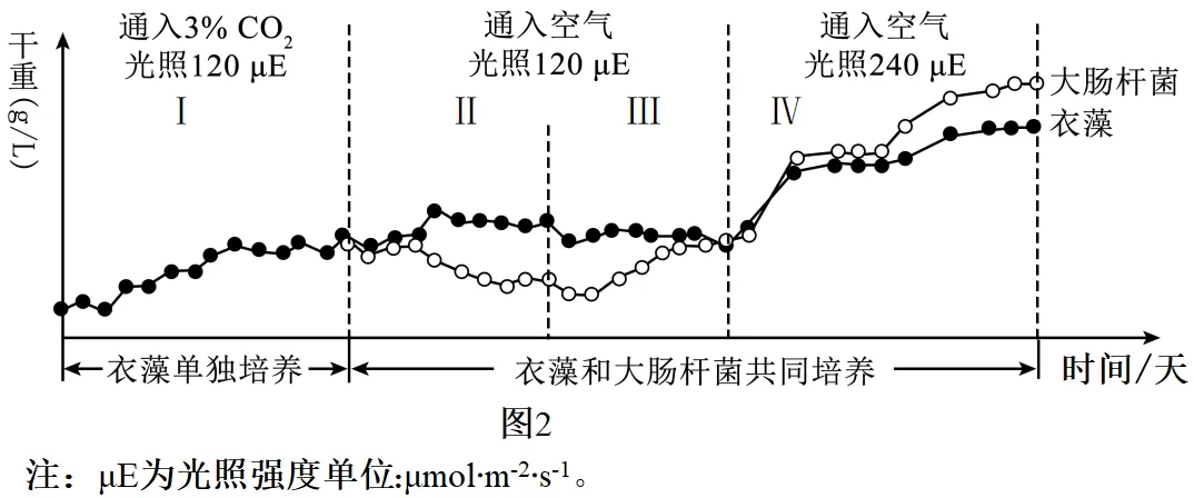 2026届山东济宁市高三第一次模拟考试生物试题-第12张图片-四季读书网