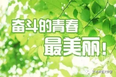 中考语文作文5大热门主题范文,家国情怀、传统文化、人工智能,篇篇精彩!-第2张图片-四季读书网