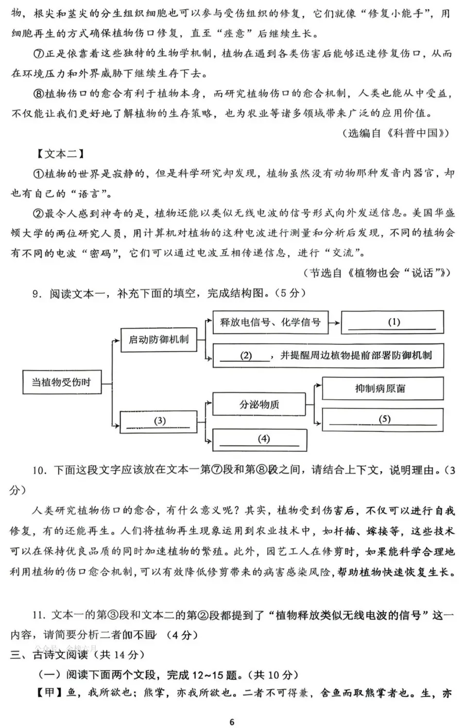 初中语文|2026中考语文模拟试卷二(附答案),含金量很高!-第7张图片-四季读书网