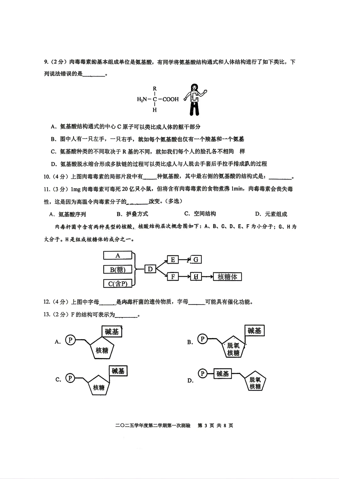 【SH高中四校八大试卷群更新】上海市格致中学2025-2026学年高一下学期第一次测验生物 第3张