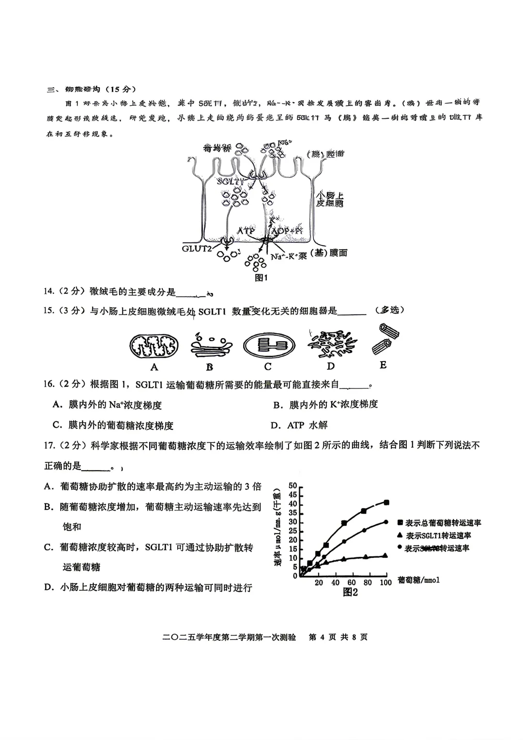 【SH高中四校八大试卷群更新】上海市格致中学2025-2026学年高一下学期第一次测验生物 第4张