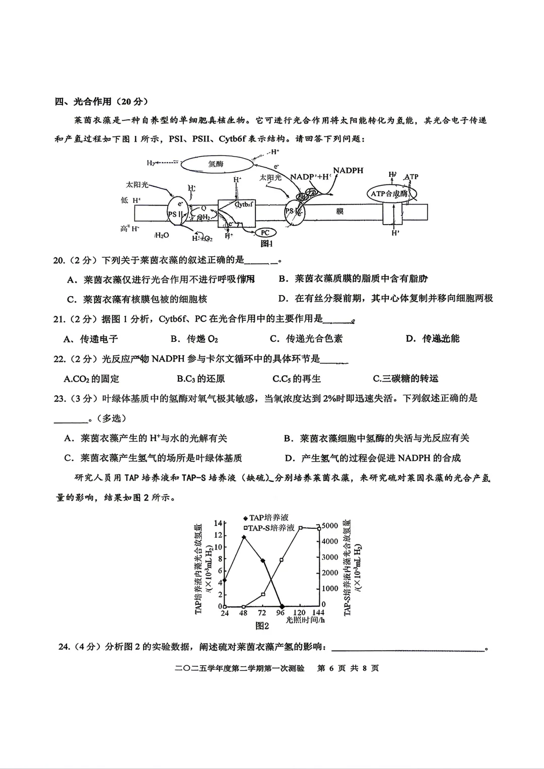【SH高中四校八大试卷群更新】上海市格致中学2025-2026学年高一下学期第一次测验生物 第6张