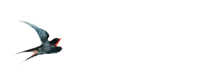 中考化学•常考考点专题-基本常识 第27张