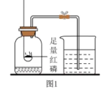 中考化学最爱考的红磷燃烧实验易错点+经典例题!熟记这些,考试稳操胜券! 第4张