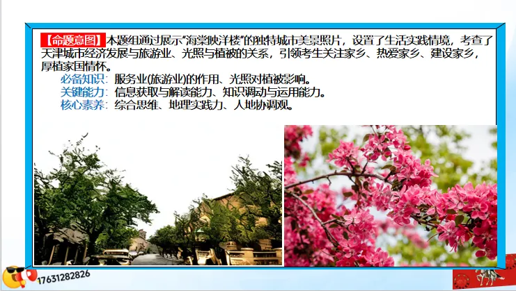 微专题《高考真题分类官方解析》:服务业 第19张