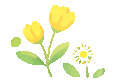 四级模考圆满落幕!查分指南、考后指导与备考福利全梳理 第17张