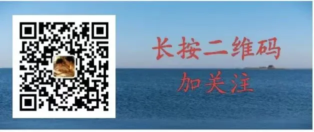 中考倒计时:不做内耗的家长! 第4张