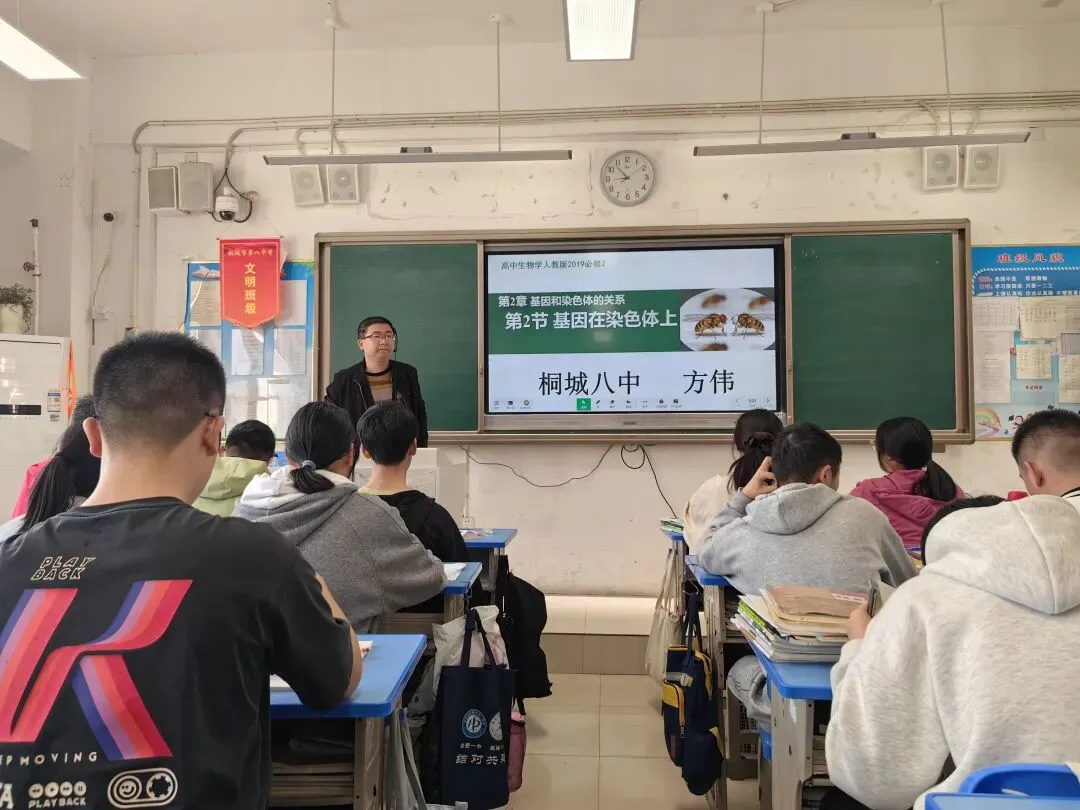 破难点、重实践、研真题——2026年桐城八中教学开放日学习心得-第3张图片-四季读书网