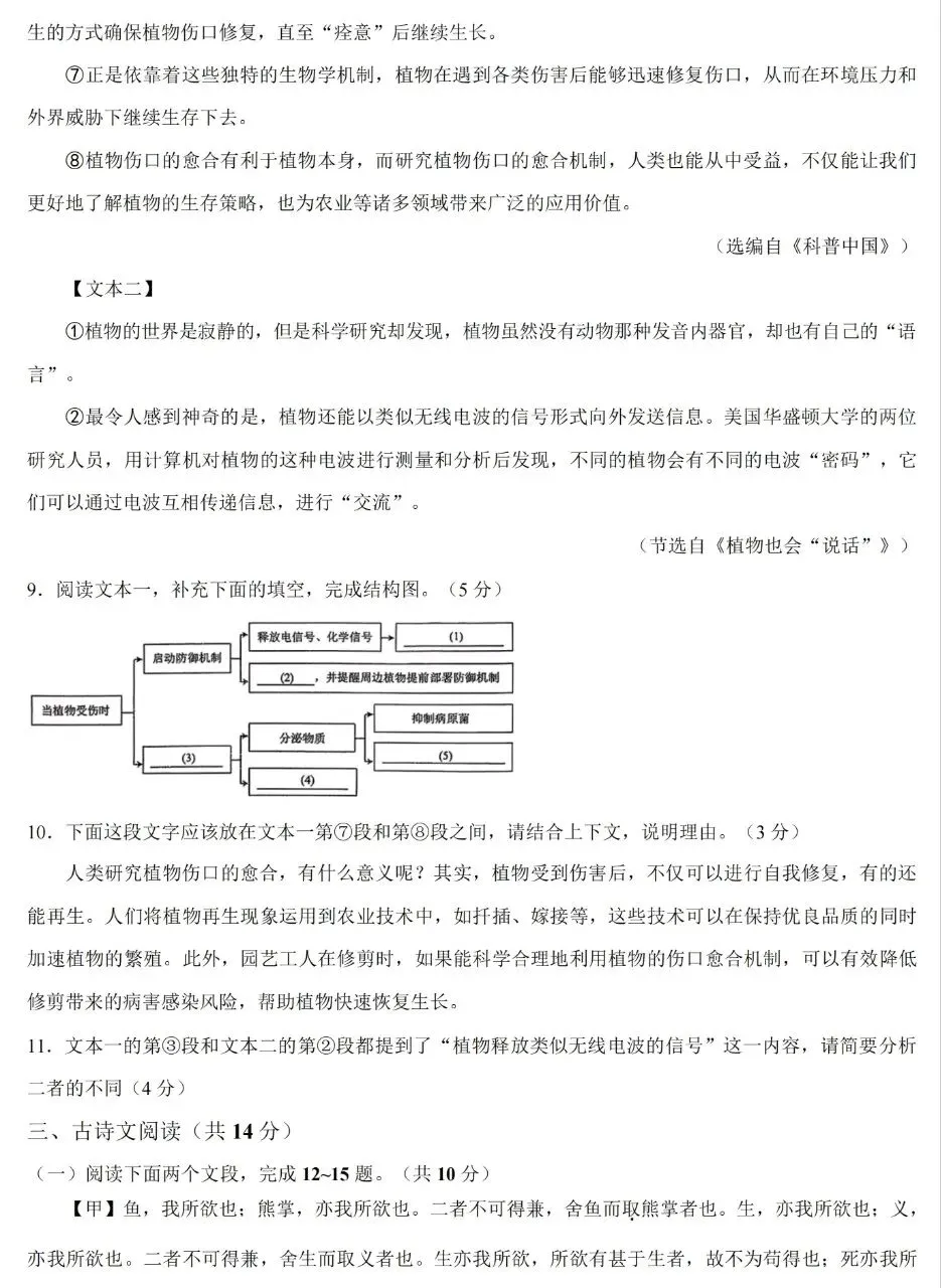 郑州枫杨外国语九年级语文模拟试卷(含答案)-第6张图片-四季读书网