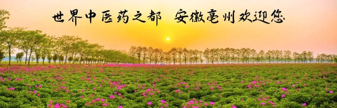 涡阳县中医院:健康护航助中考 第1张