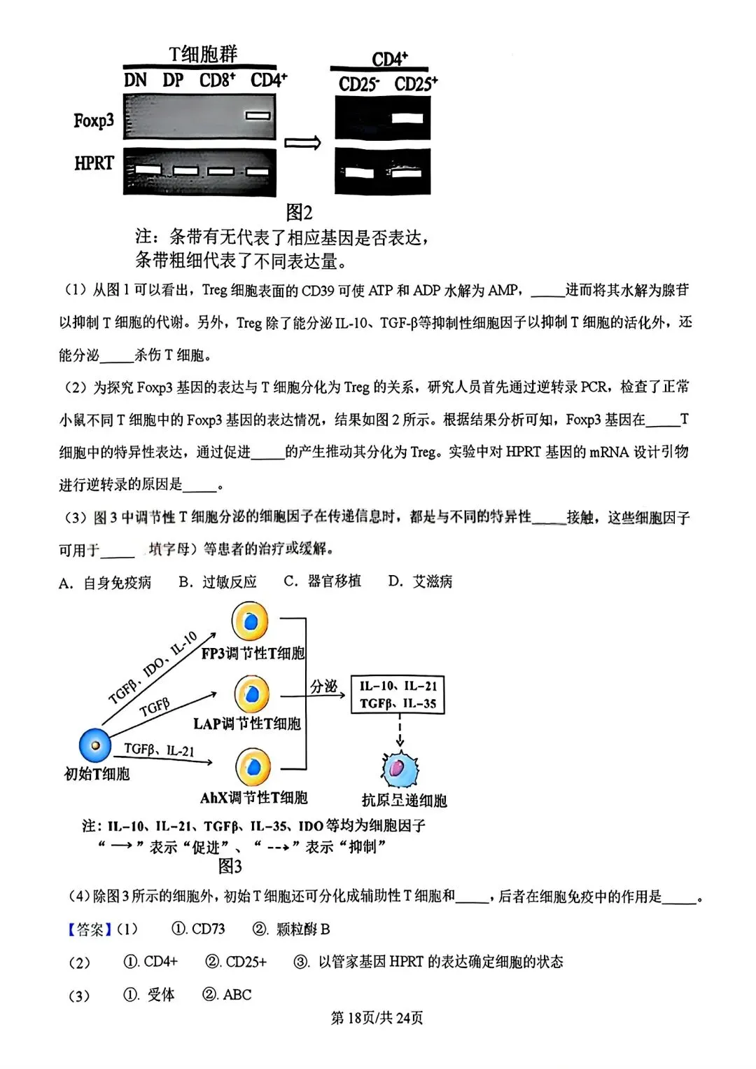 【试卷/高考】2025-2026辽宁县级重点高中协作体高三下二模4月生物(含答案)可下载 第33张