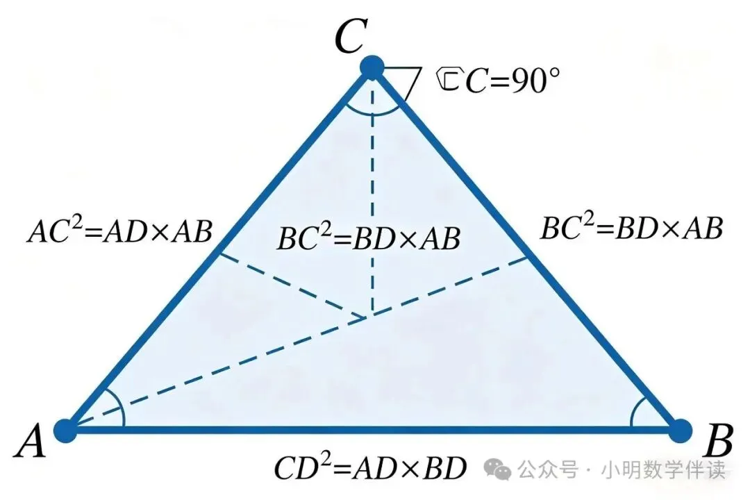中考数学课外定理——培优秘籍-第3张图片-四季读书网