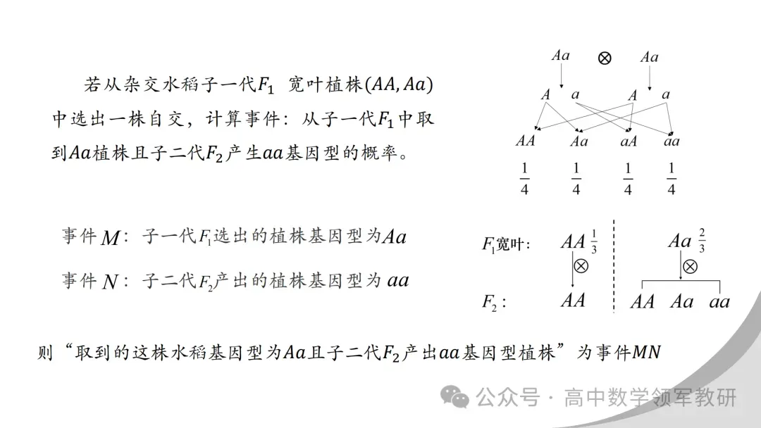 【最新一轮备考策略】聚焦情境 精研真题 善用AI——2027年高考高效备考策略F71-第39张图片-四季读书网