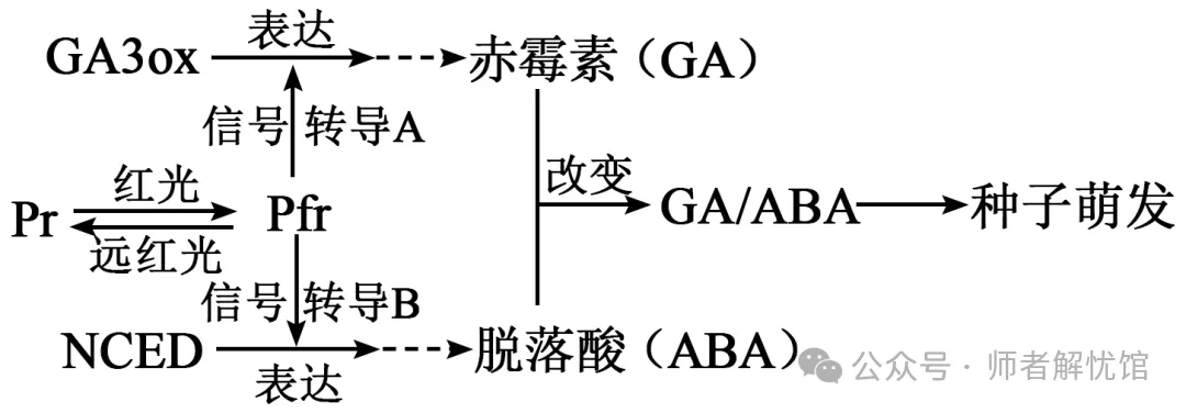 2026届山东济宁、日照市高三第一次模拟考试生物学试题和答案(附word下载) ⊙-第9张图片-四季读书网