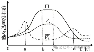 2026届山东济宁、日照市高三第一次模拟考试生物学试题和答案(附word下载) ⊙-第10张图片-四季读书网