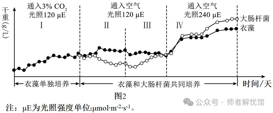 2026届山东济宁、日照市高三第一次模拟考试生物学试题和答案(附word下载) ⊙-第17张图片-四季读书网