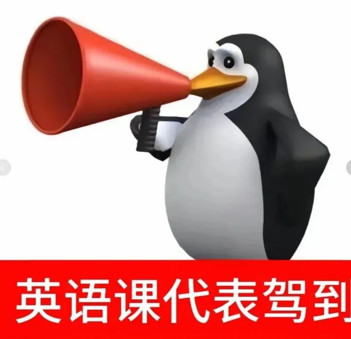 中考必背1600词汇16天打卡默写day 3-第2张图片-四季读书网