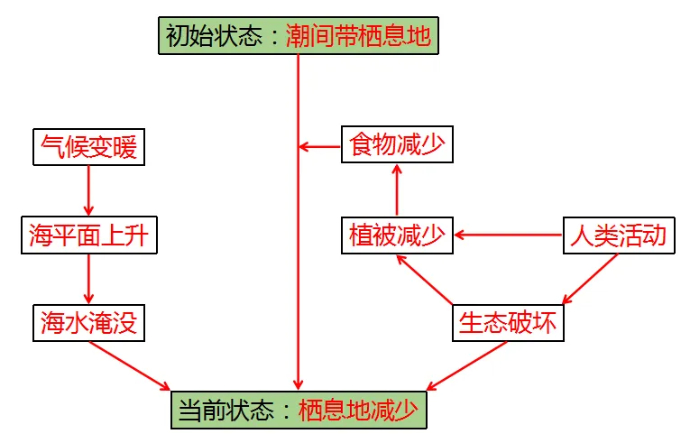 真题精讲|手把手教你搞定地理过程类问题 第6张