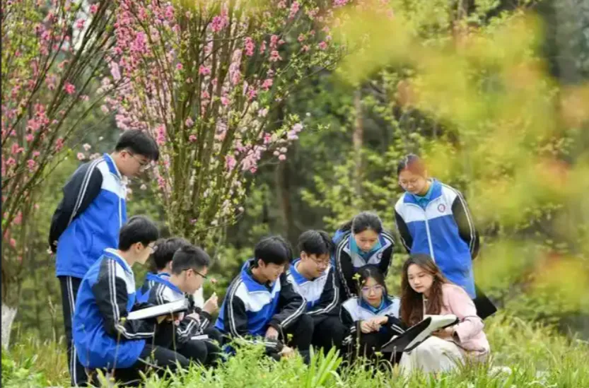 中考倒计时:数学提分,就差这一件事 第1张 中考倒计时:数学提分,就差这一件事 第1张