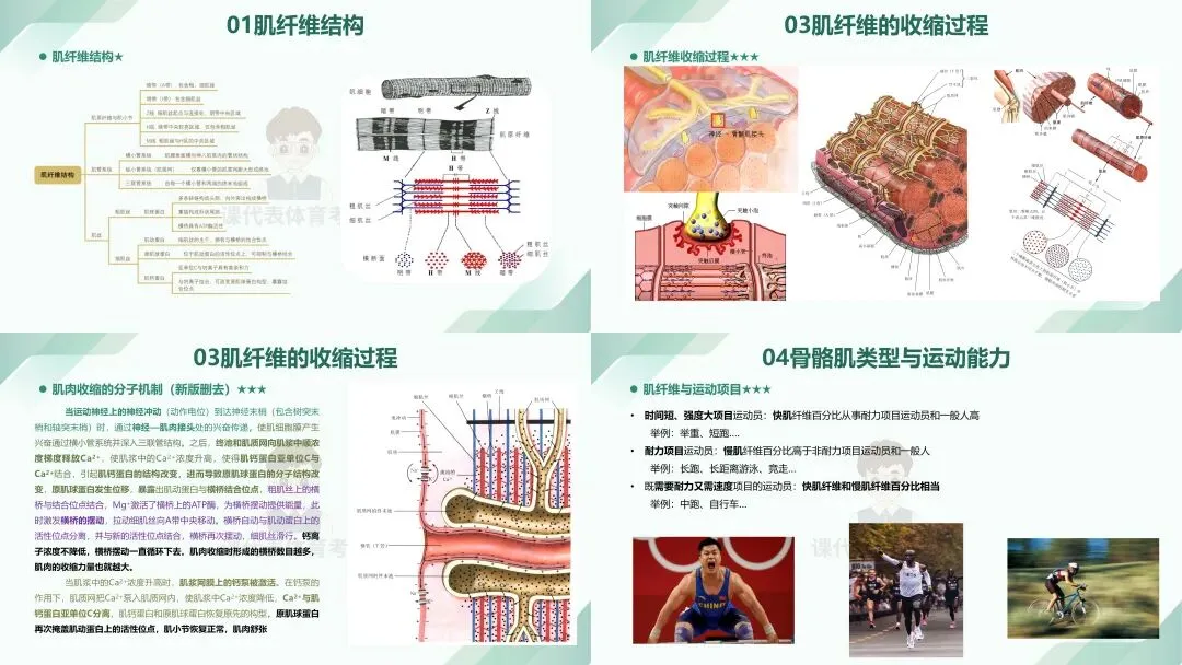 摊牌了,北体346、613、612真题系统级全解析免费使用,并有北体AI知识库加持方向分析!-第20张图片-四季读书网