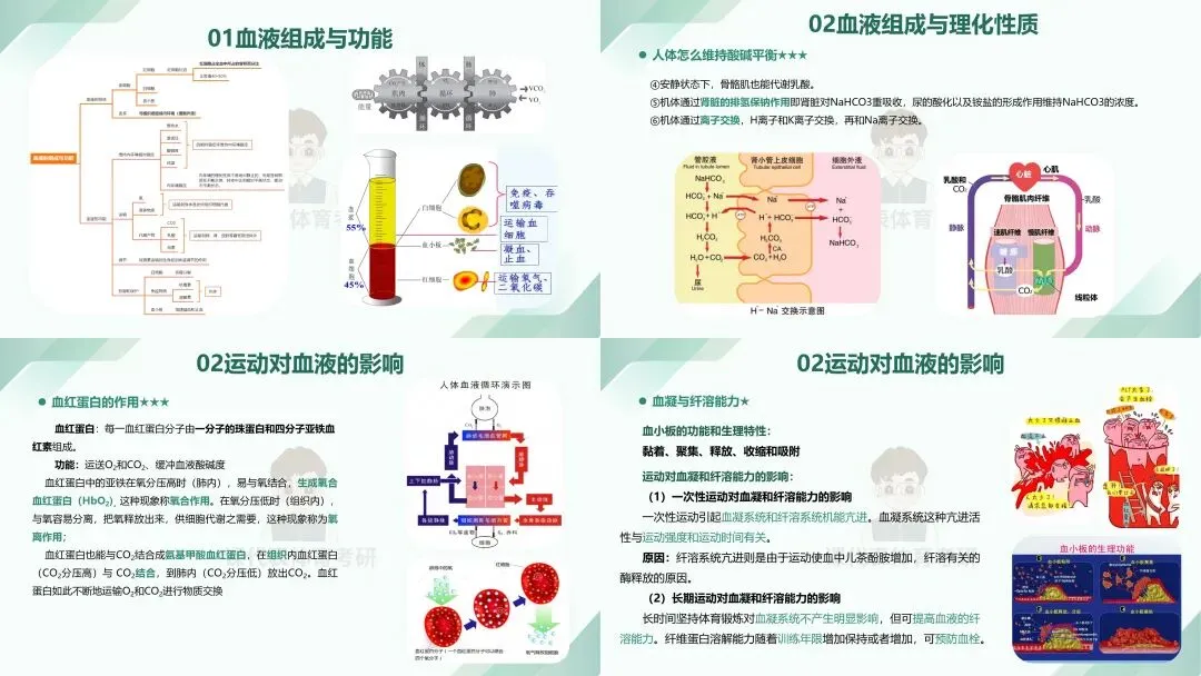 摊牌了,北体346、613、612真题系统级全解析免费使用,并有北体AI知识库加持方向分析!-第21张图片-四季读书网