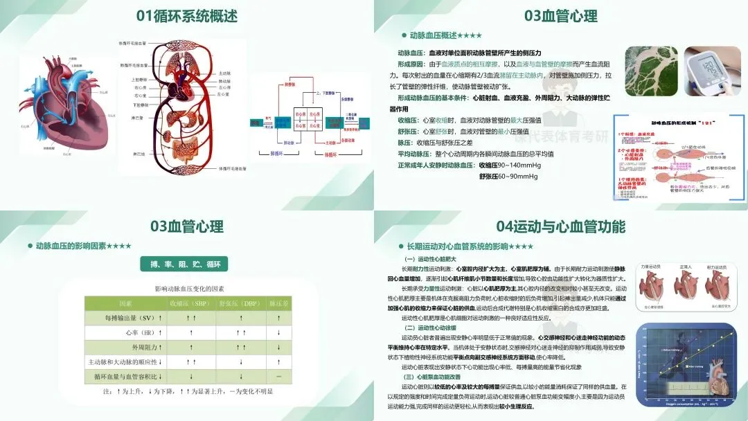 摊牌了,北体346、613、612真题系统级全解析免费使用,并有北体AI知识库加持方向分析!-第22张图片-四季读书网