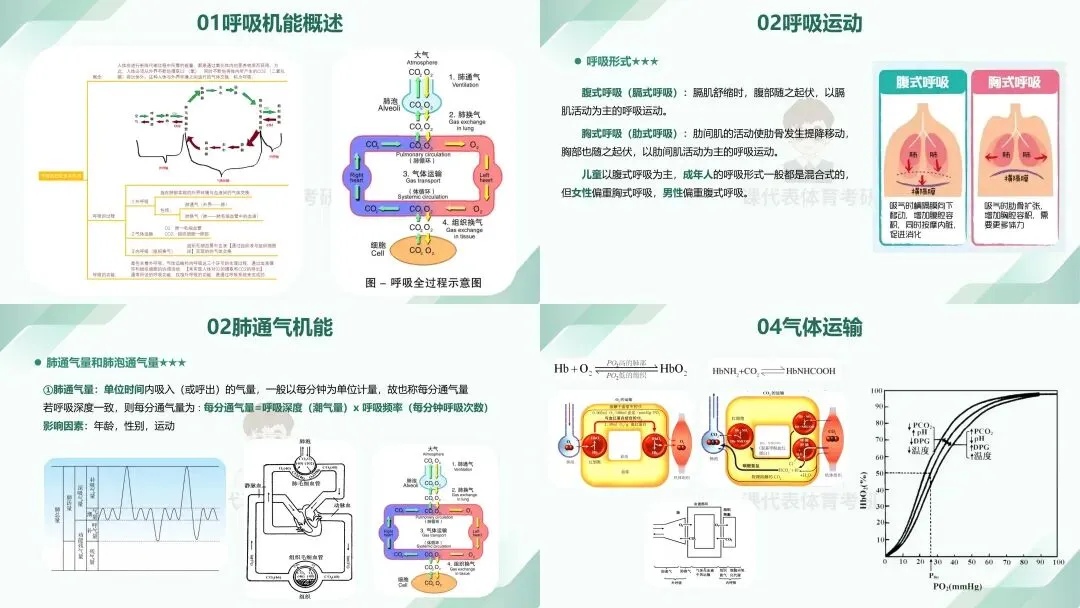 摊牌了,北体346、613、612真题系统级全解析免费使用,并有北体AI知识库加持方向分析!-第23张图片-四季读书网