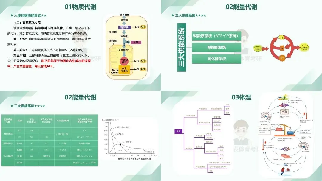 摊牌了,北体346、613、612真题系统级全解析免费使用,并有北体AI知识库加持方向分析!-第24张图片-四季读书网