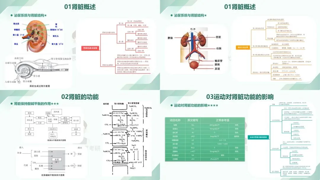 摊牌了,北体346、613、612真题系统级全解析免费使用,并有北体AI知识库加持方向分析!-第25张图片-四季读书网