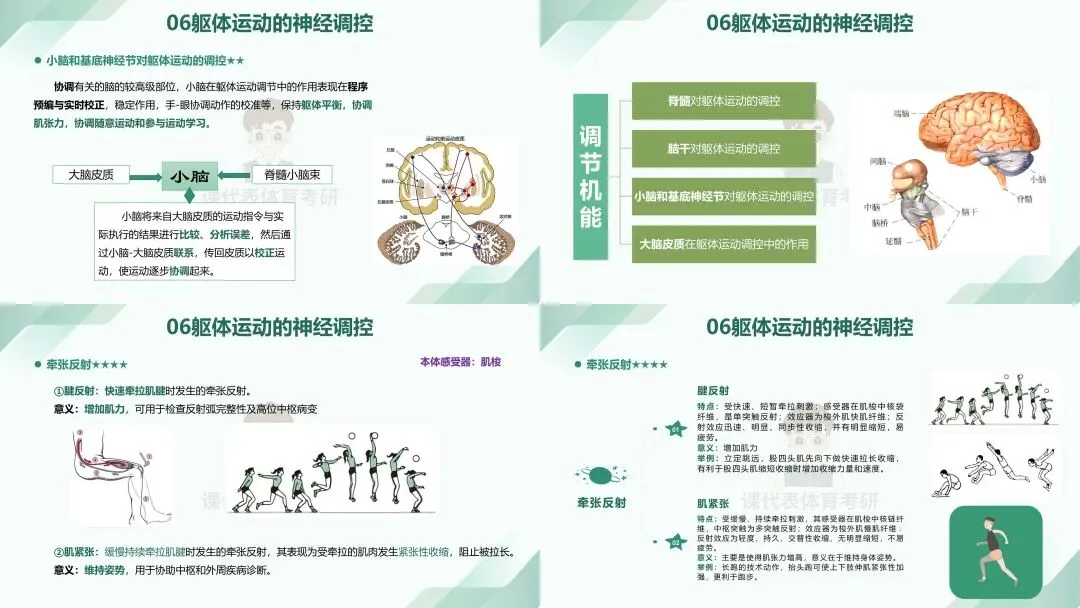 摊牌了,北体346、613、612真题系统级全解析免费使用,并有北体AI知识库加持方向分析!-第27张图片-四季读书网