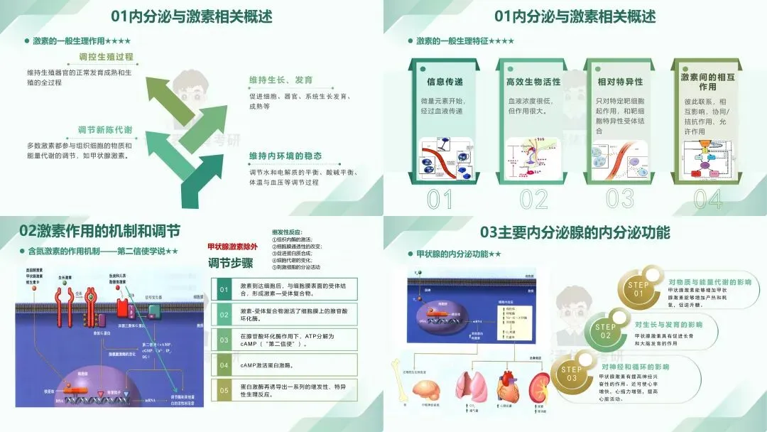 摊牌了,北体346、613、612真题系统级全解析免费使用,并有北体AI知识库加持方向分析!-第28张图片-四季读书网