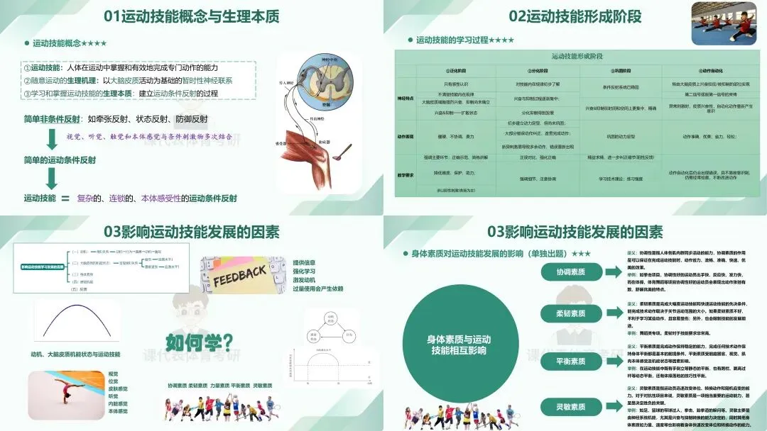 摊牌了,北体346、613、612真题系统级全解析免费使用,并有北体AI知识库加持方向分析!-第29张图片-四季读书网