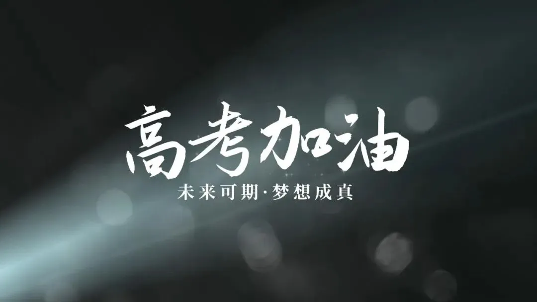 2026届上海市金山区高三二模语文试卷及答案-第1张图片-四季读书网