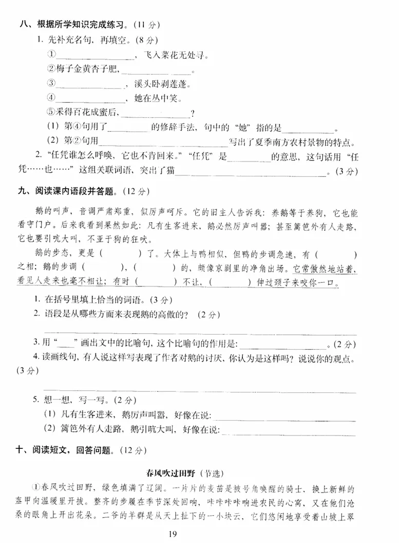 【期中试卷】四年级语文下册期中全真模拟训练密卷普卷(含作文纸+答案+5套练习卷),限时领取-第9张图片-四季读书网