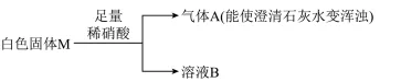 中考化学专题突破——酸碱盐的性质及应用 第6张