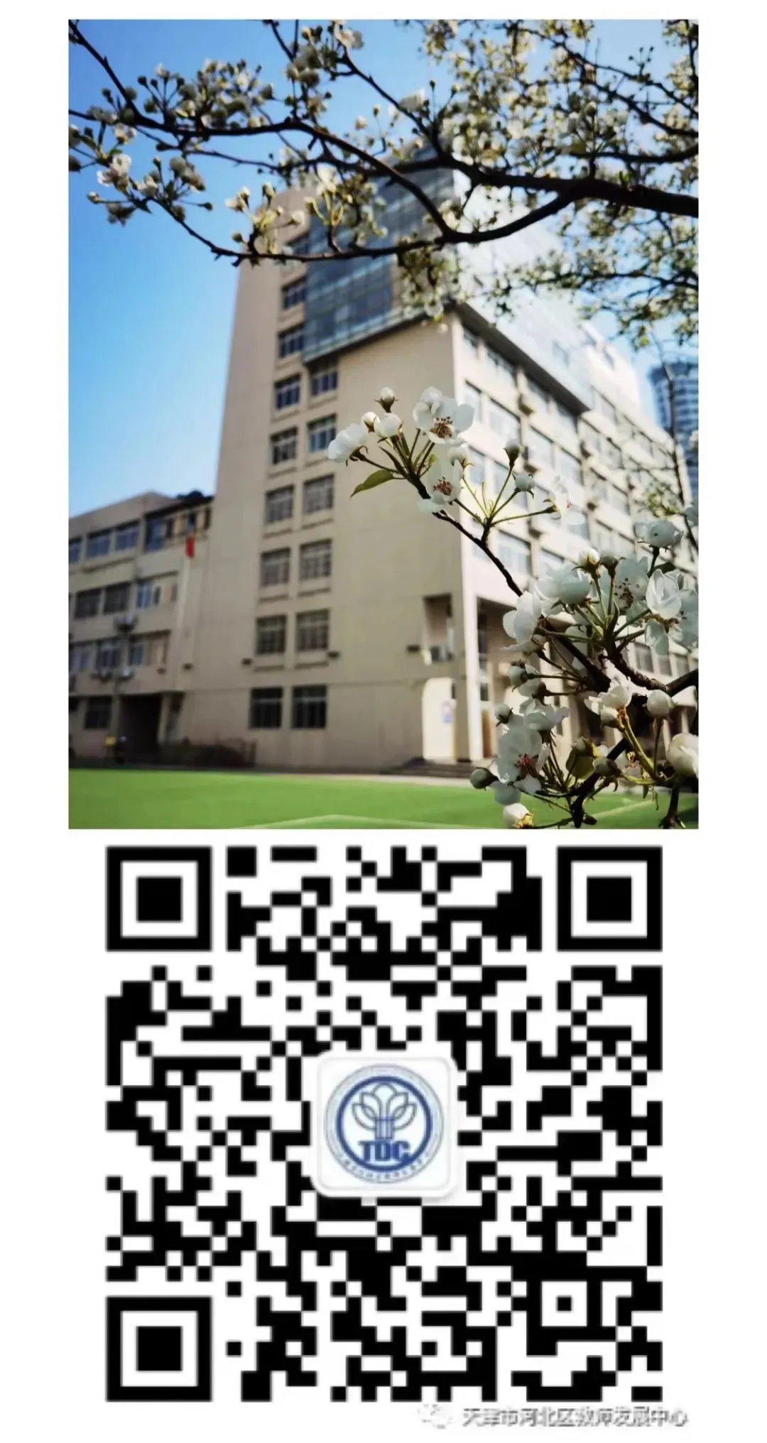 研真题·明方向·精专题·共备考——河北区名师工作室研修活动系列展播(二〇二) 第8张 研真题·明方向·精专题·共备考——河北区名师工作室研修活动系列展播(二〇二) 第8张