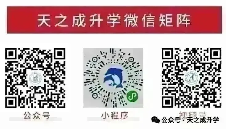 2026年中考合肥42中一模真题(含听力) 第10张 2026年中考合肥42中一模真题(含听力) 第10张