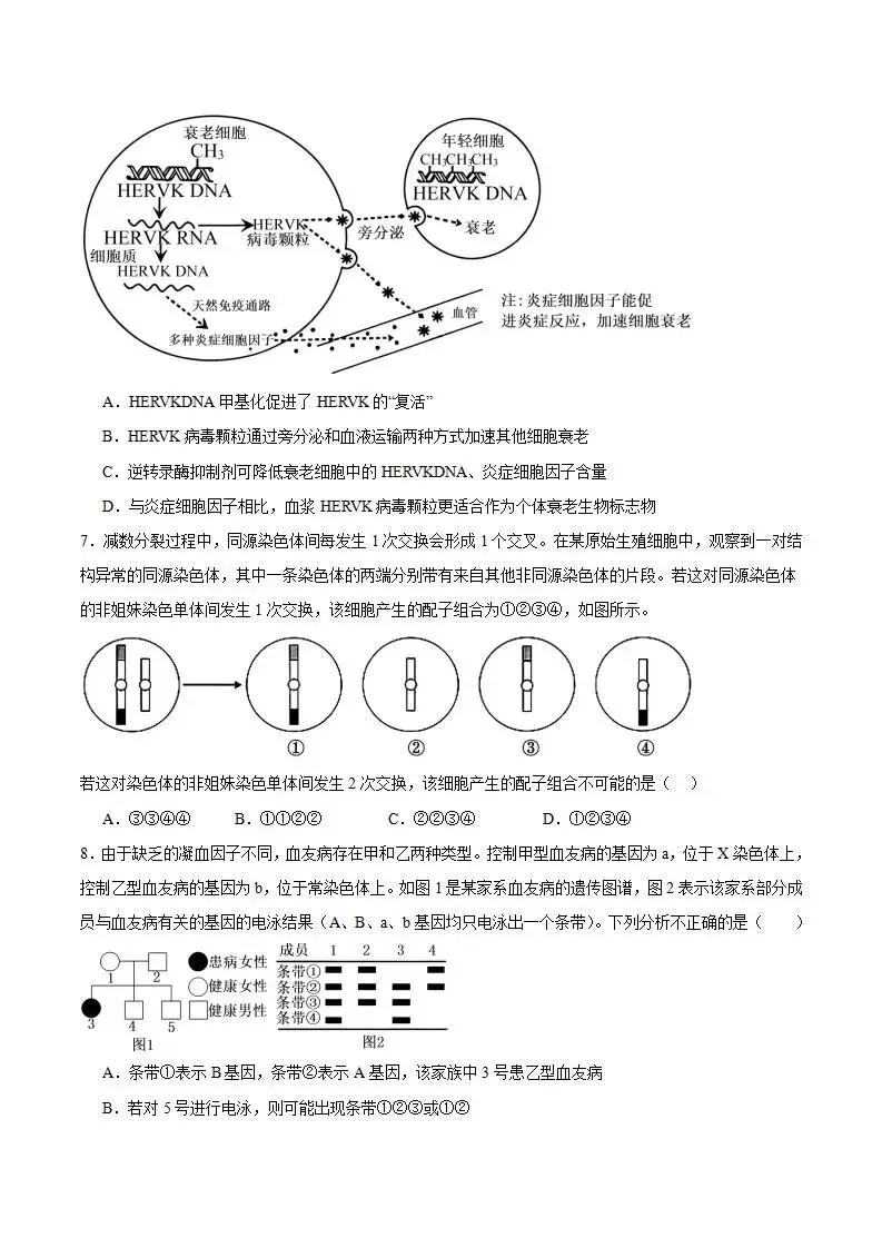 《高中试卷》2026安徽省合肥一六八中学高三下学期3月规范训练-生物 第4张